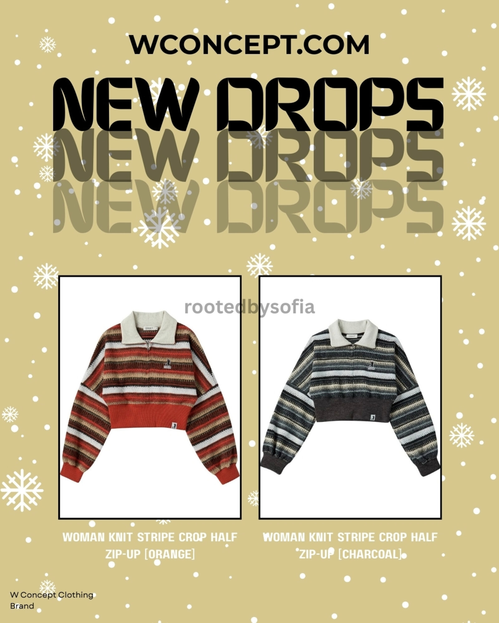 Rooted by Sofia Image