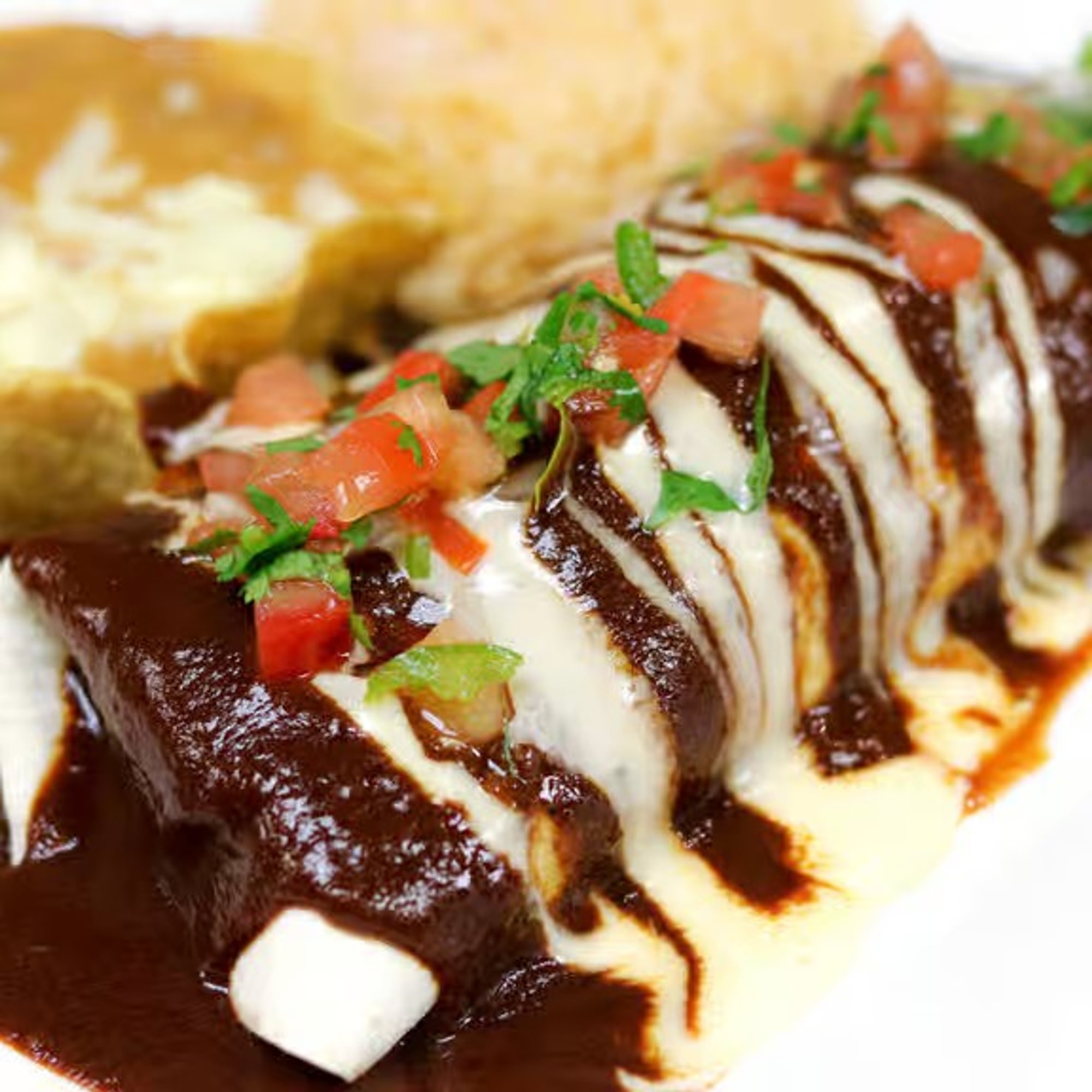Burrito San Marcos