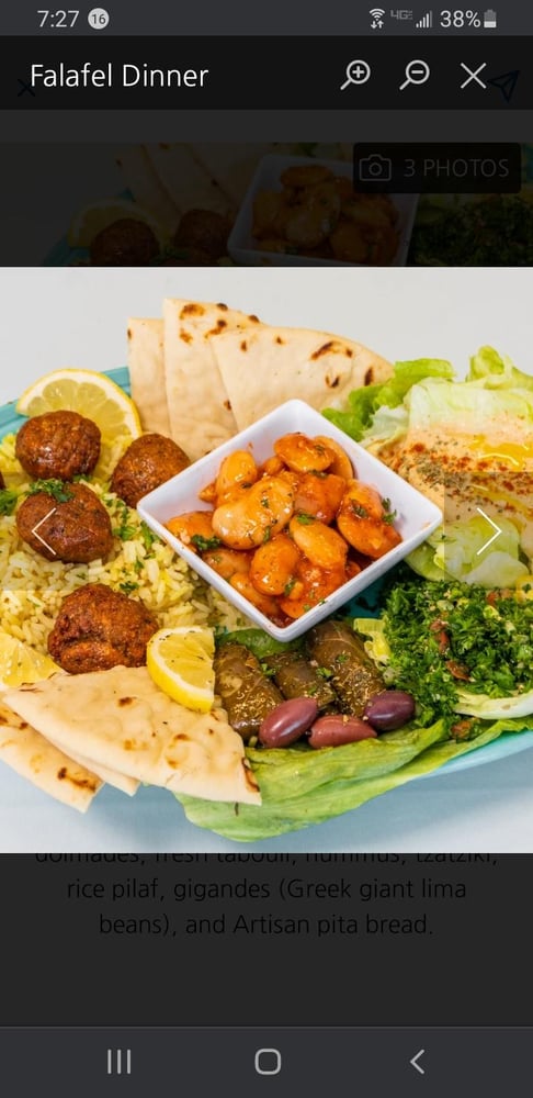 Falafel Plate