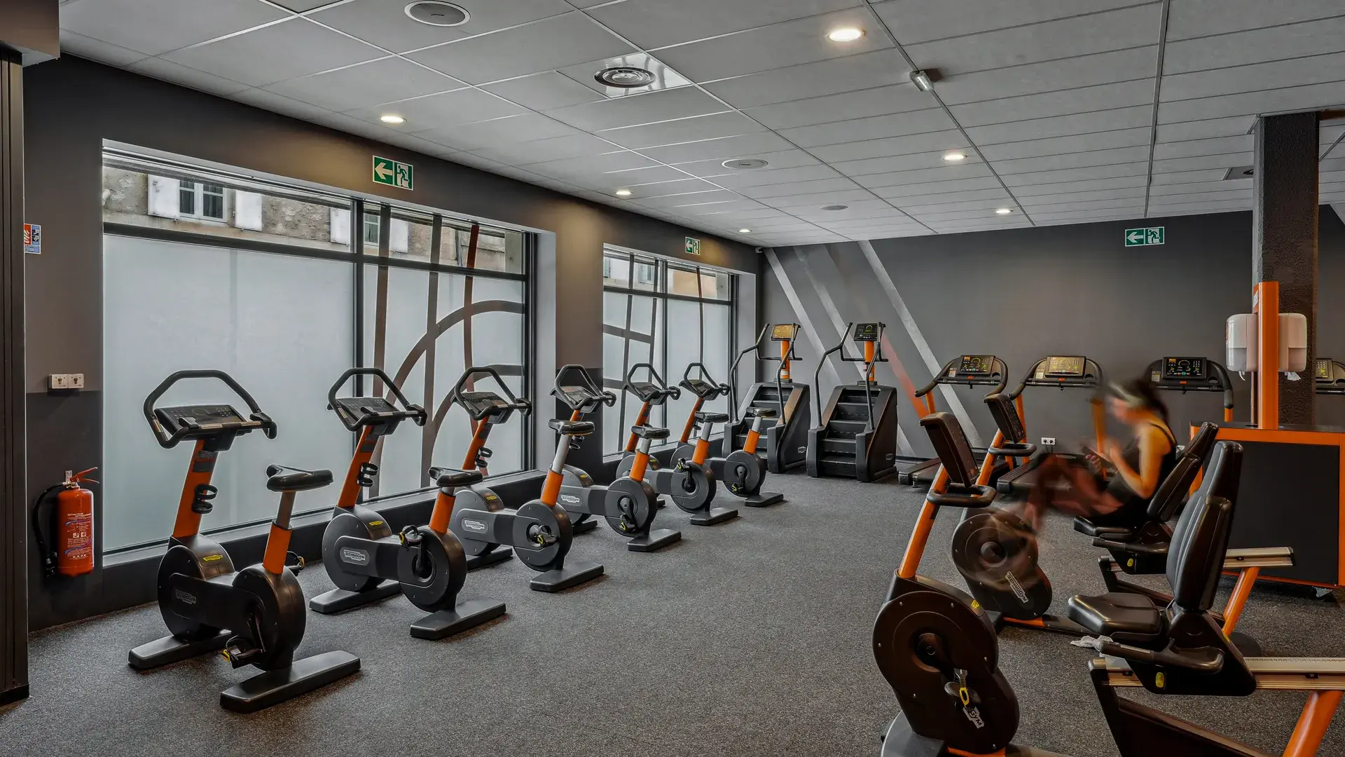 Miniature de la galerie