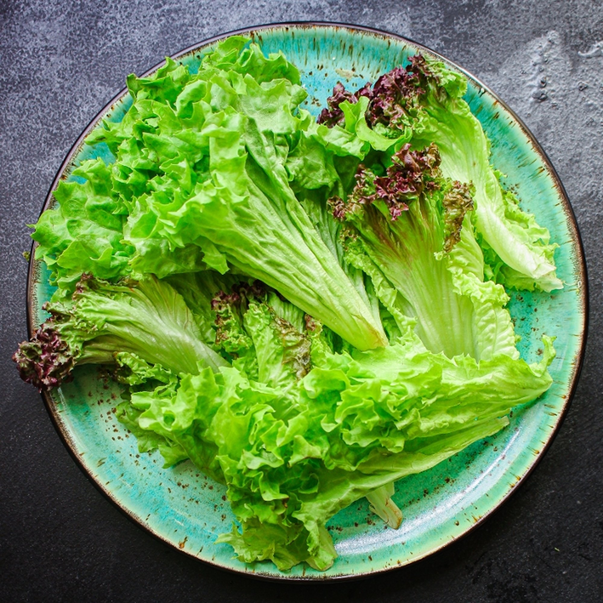 LETTUCE