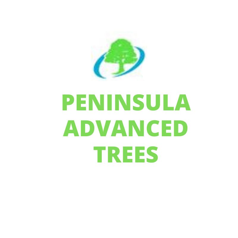 Peninsula Advanced Trees Mornington