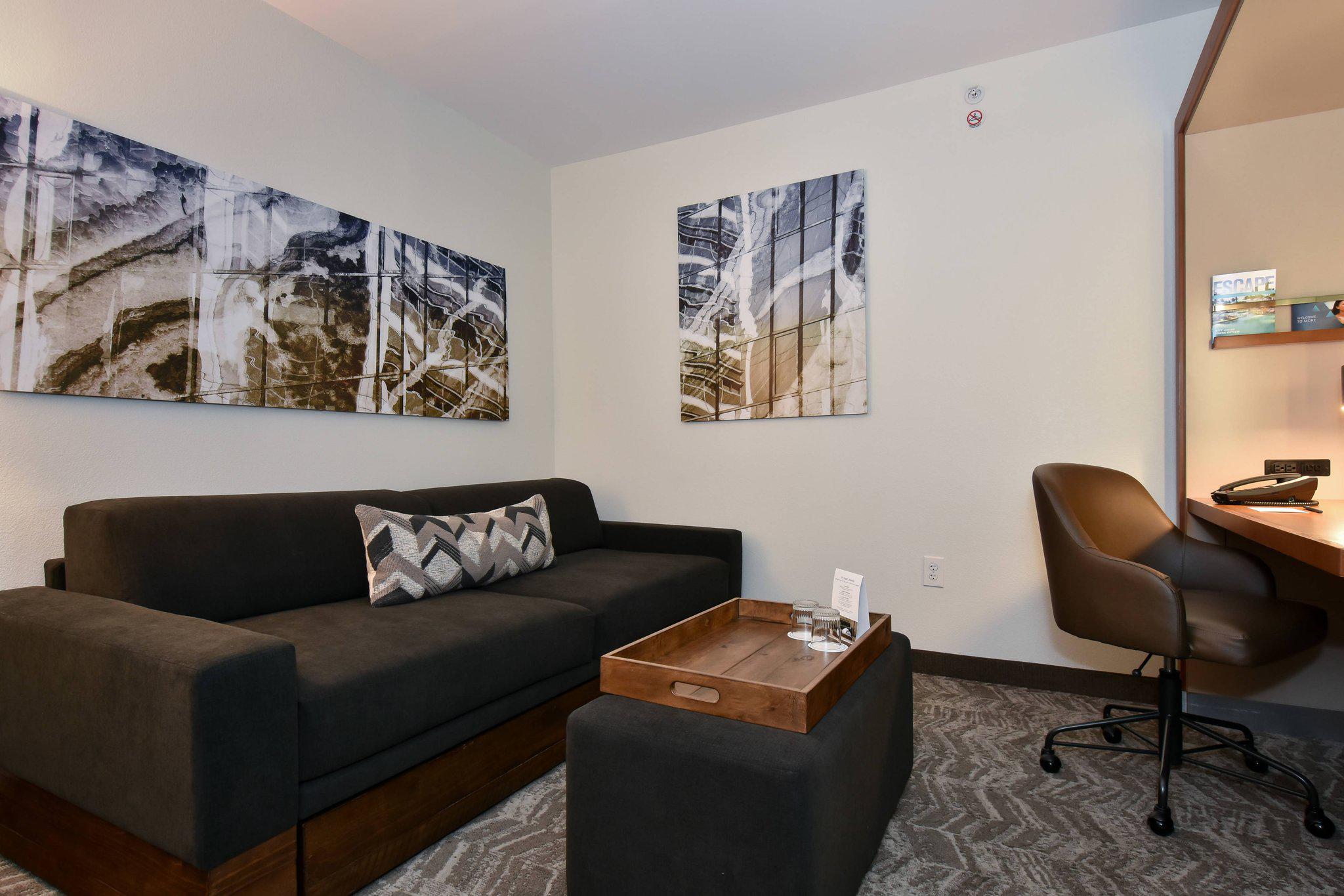 SpringHill Suites by Marriott Columbia Downtown/The Vista Photo