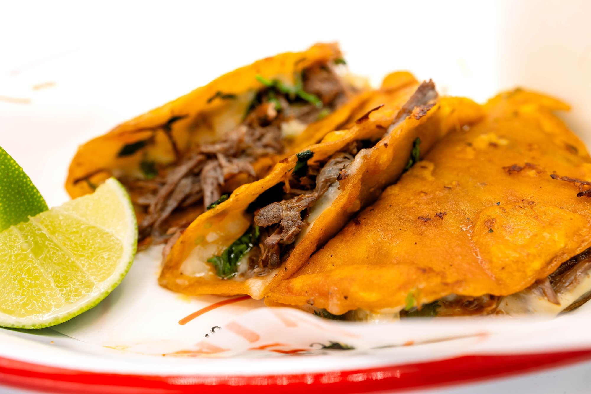 Birria Quesataco