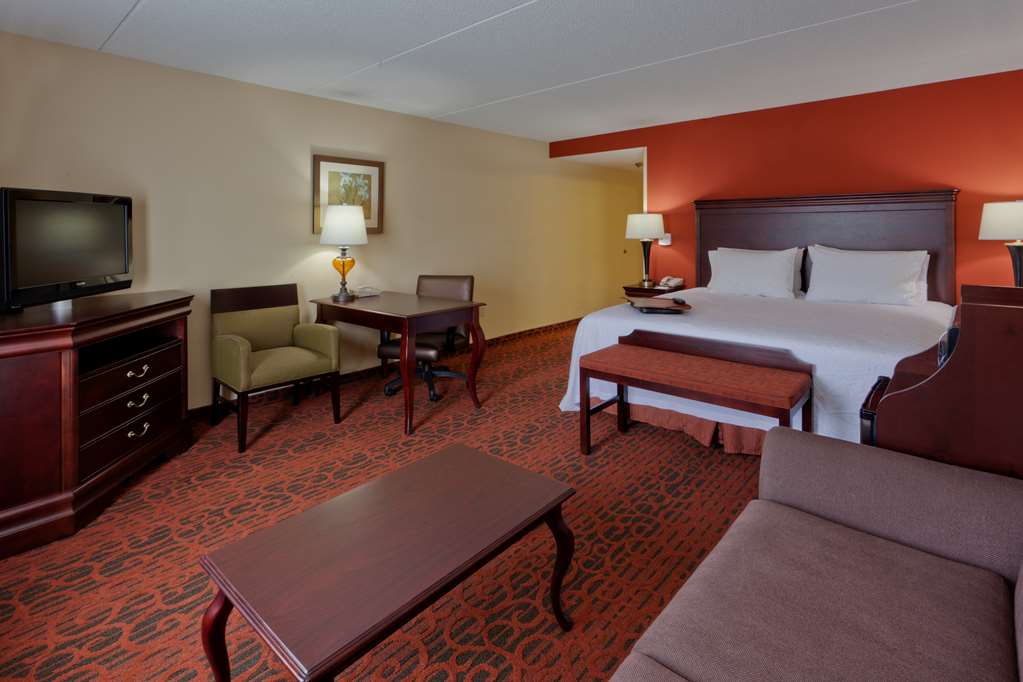 Hampton Inn Rochester-Webster Image
