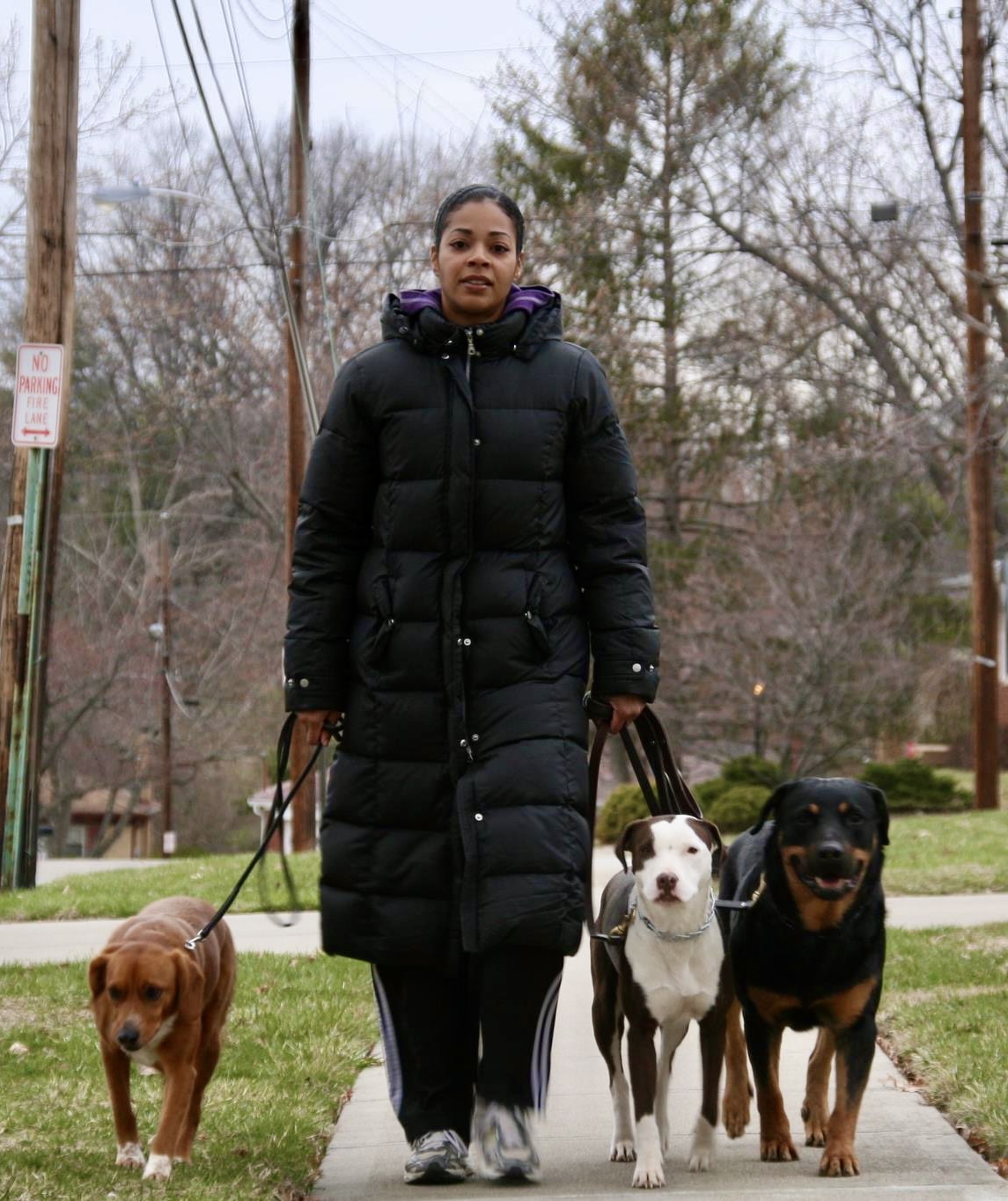 Underdog K-9 Academy LLC Image