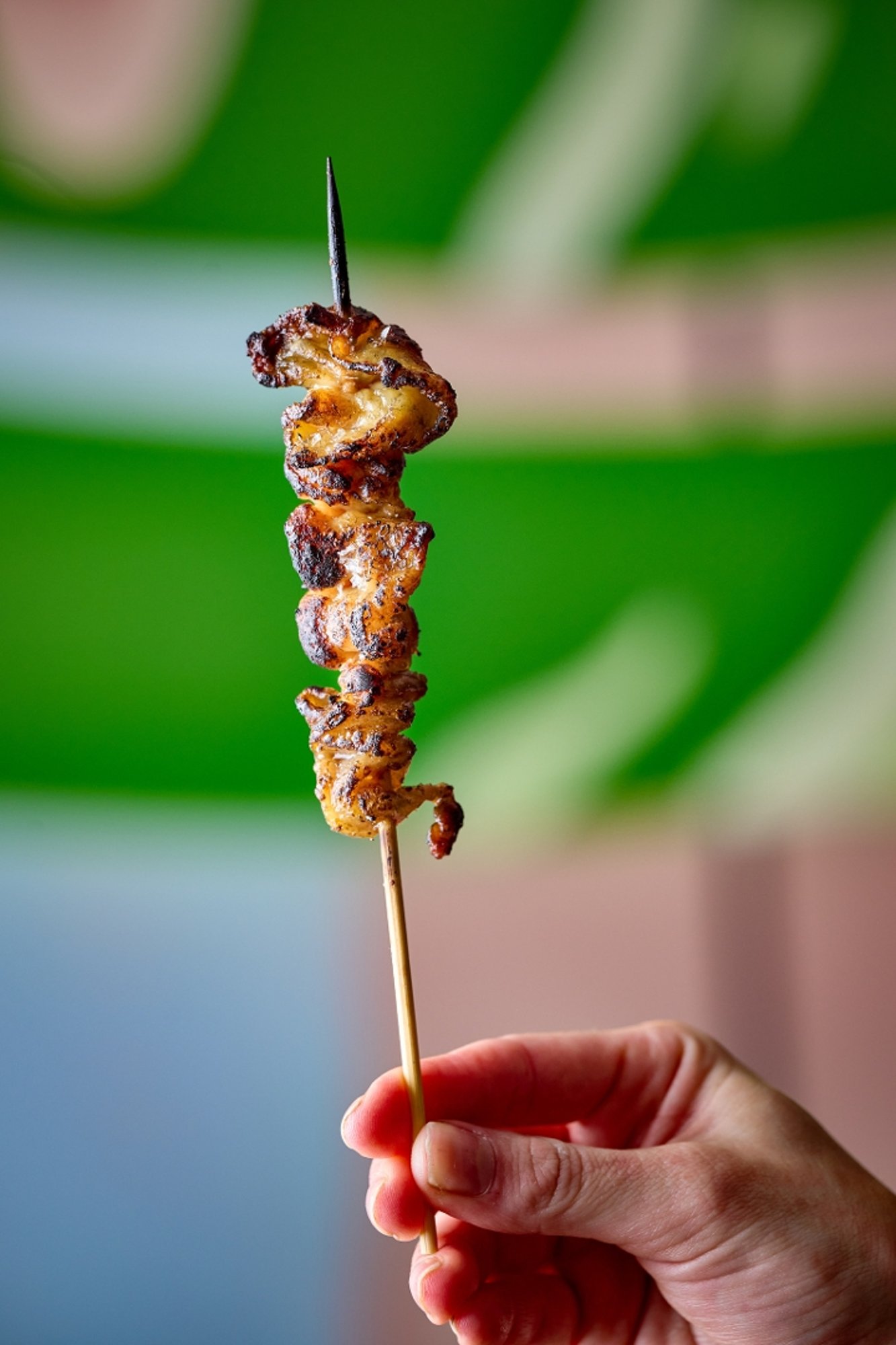 Chicken Skin Yakitori