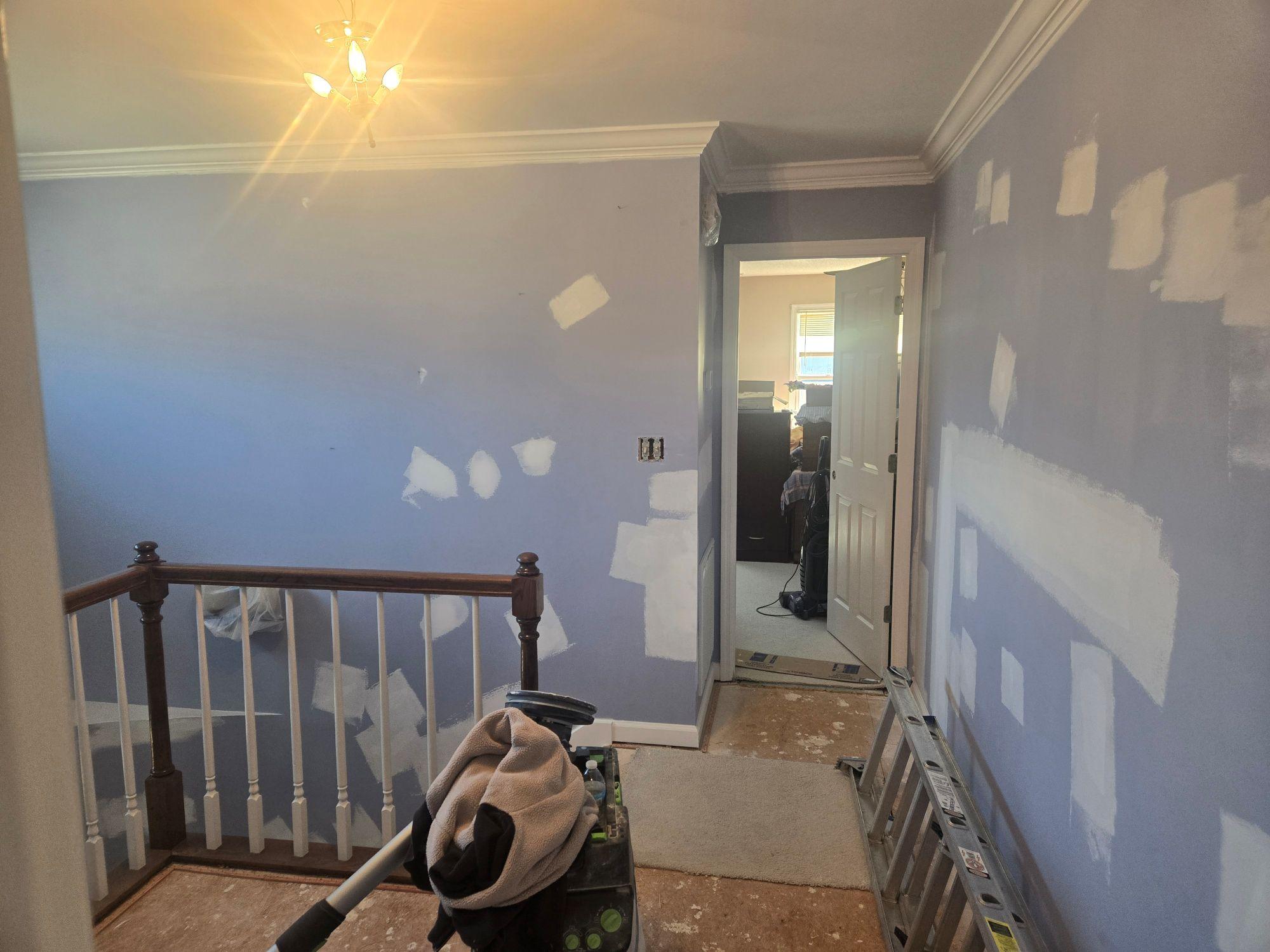 Blue Jay Painting Image