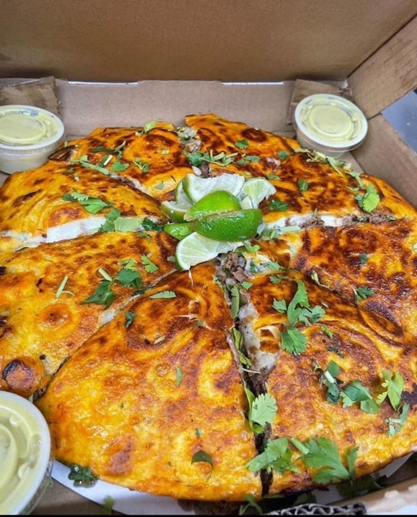 Quesapizza