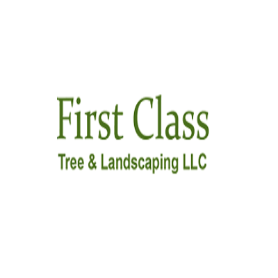First Class Tree &amp; Landscaping LLC Logo
