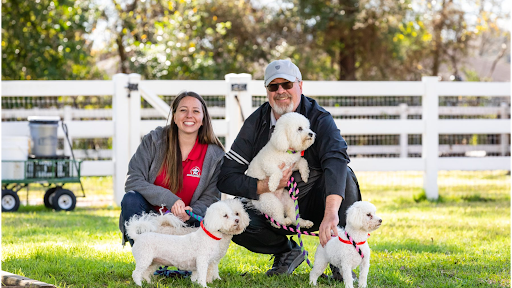 Houston Dog Ranch