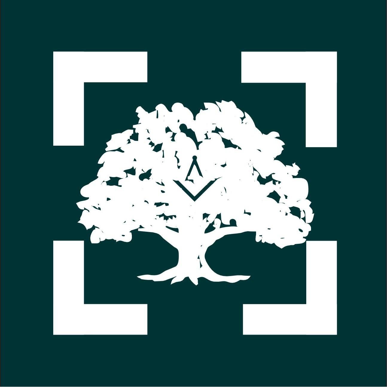 Skyline Tree Experts