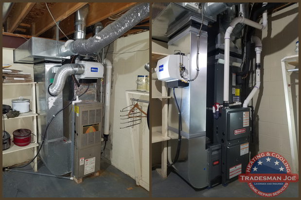 Images Tradesman Joe