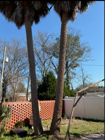 Branch Brothers Image