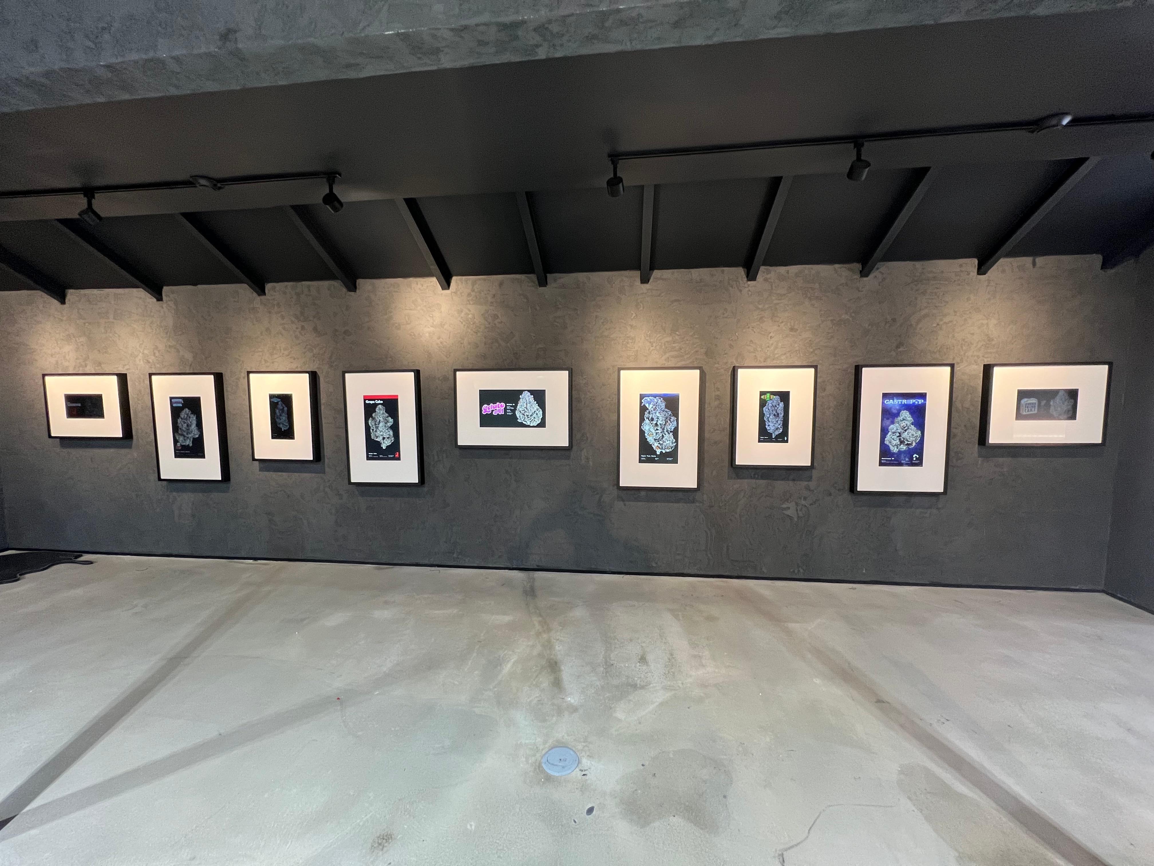 The Flowery Dispensary Ocala Image