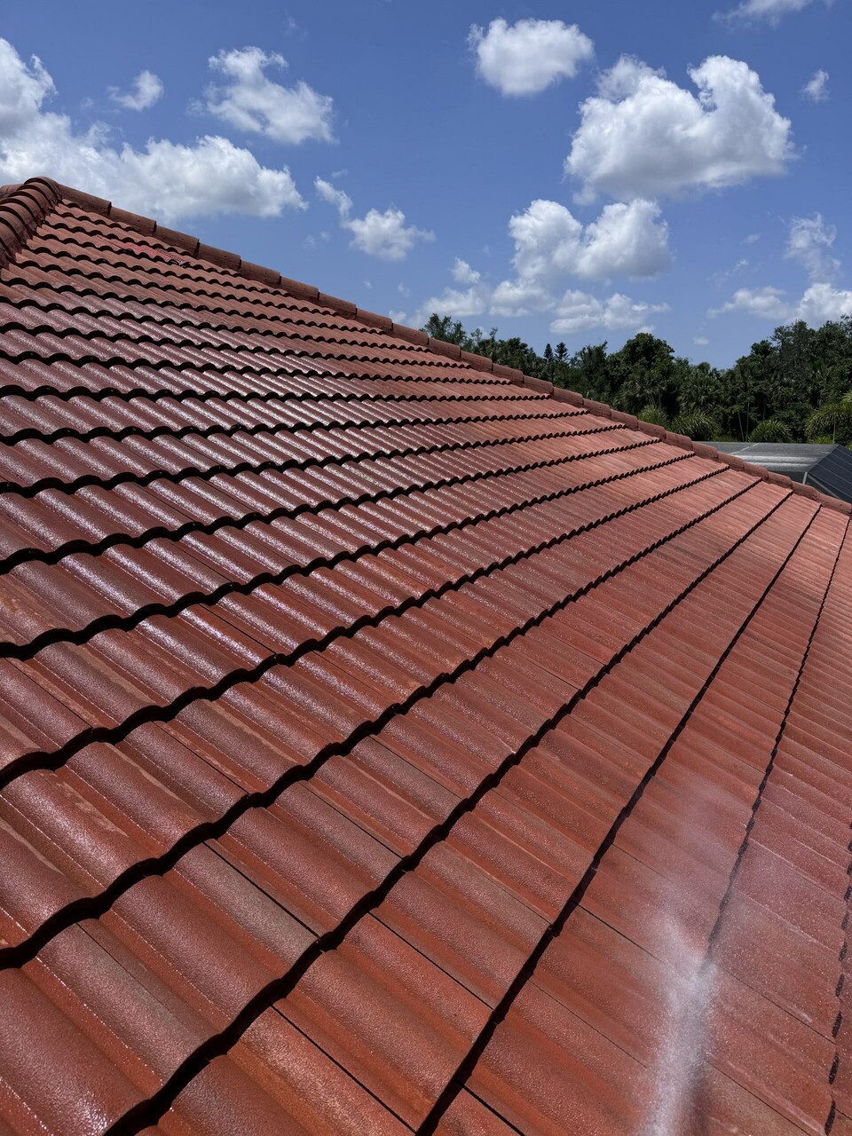 Window Hero Sarasota Image