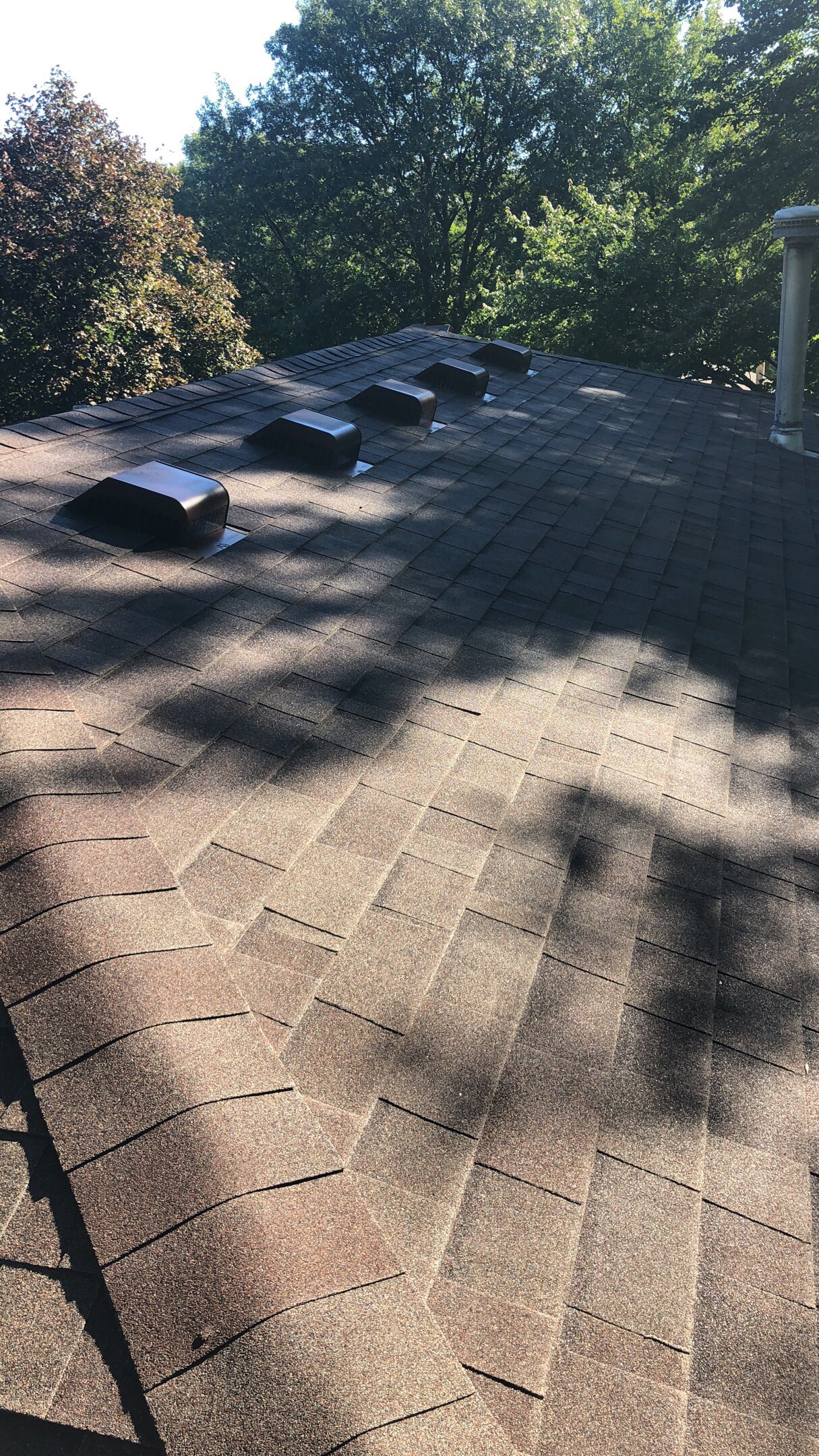 Innovative Roofing Image