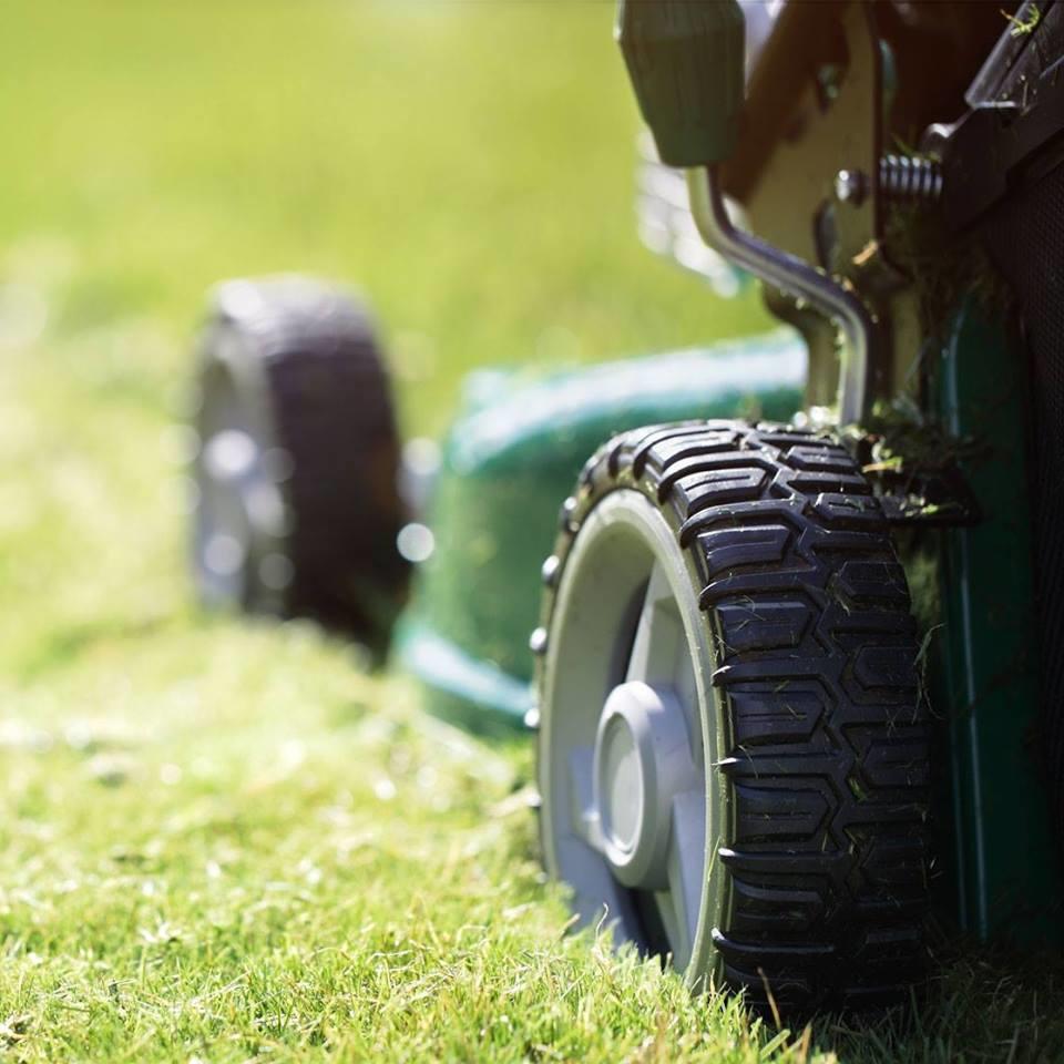 Clip It Lawn Mowing Logo