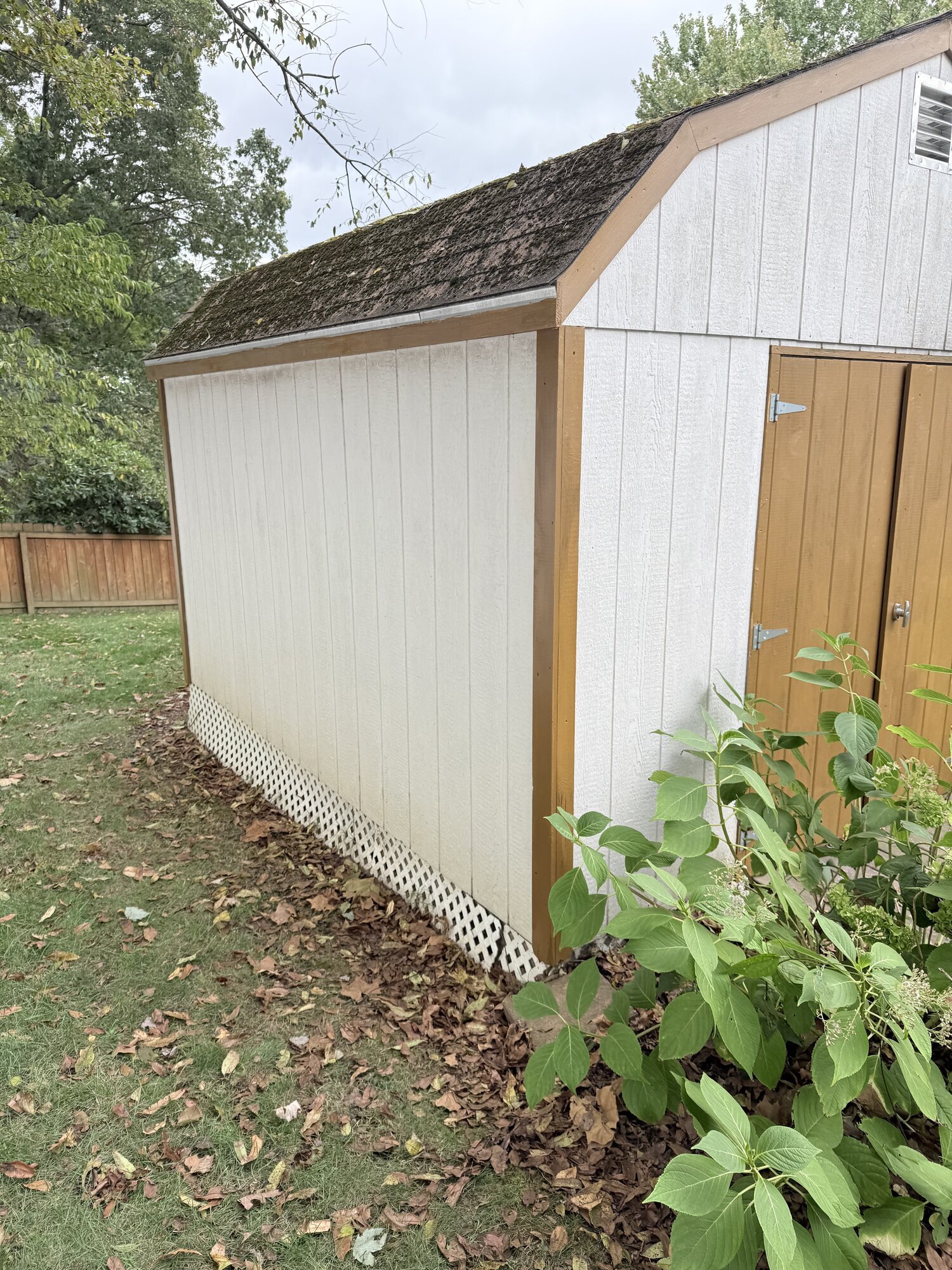 Ready hands Services Image