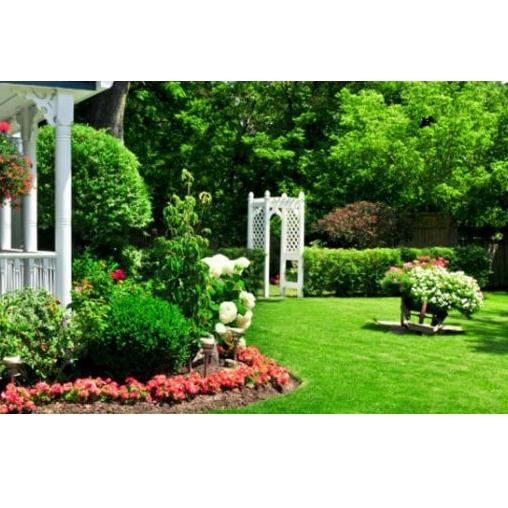 Big Beards Landscaping and Tree Service LLC Logo