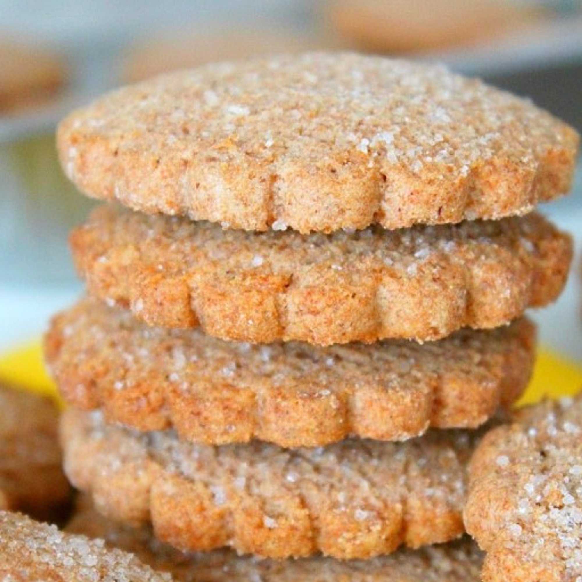 Cinnamon Cookie