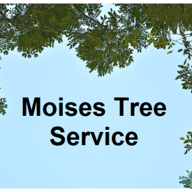Moises Tree Service Logo