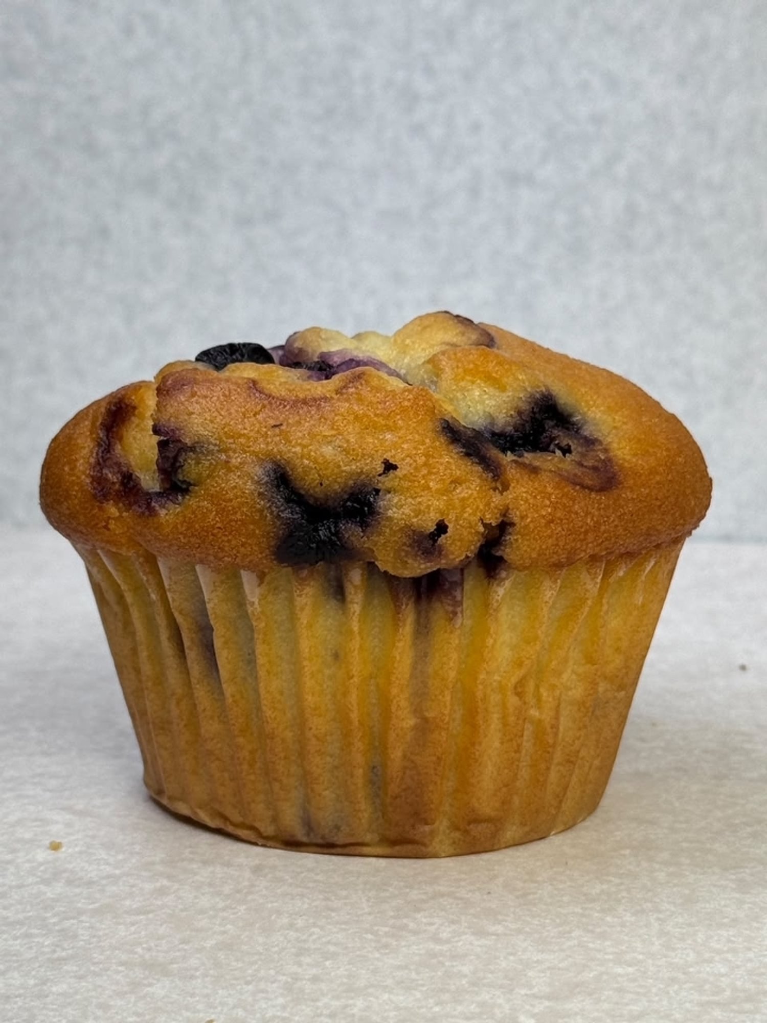 Blueberry Huge Homemade Muffins