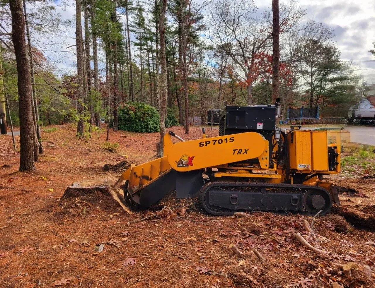 Stump Grinding