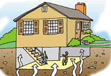 Images A-1 Home Inspections