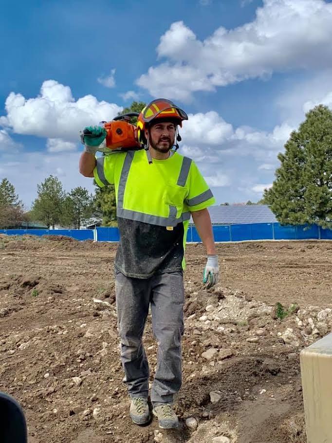 Clean Cuts Trees Image