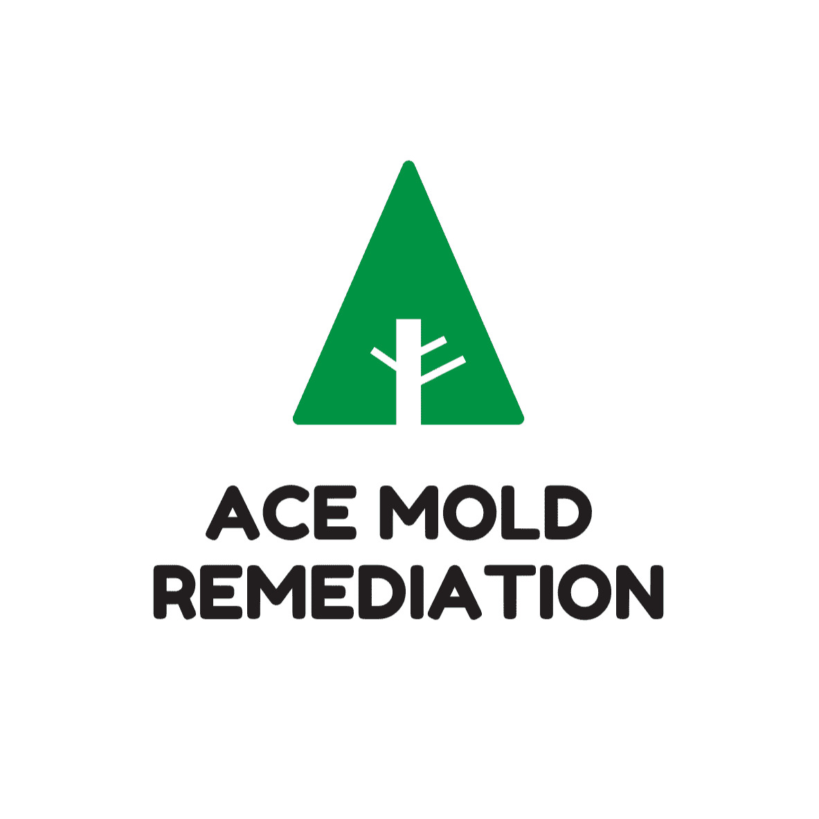 Ace Mold Remediation