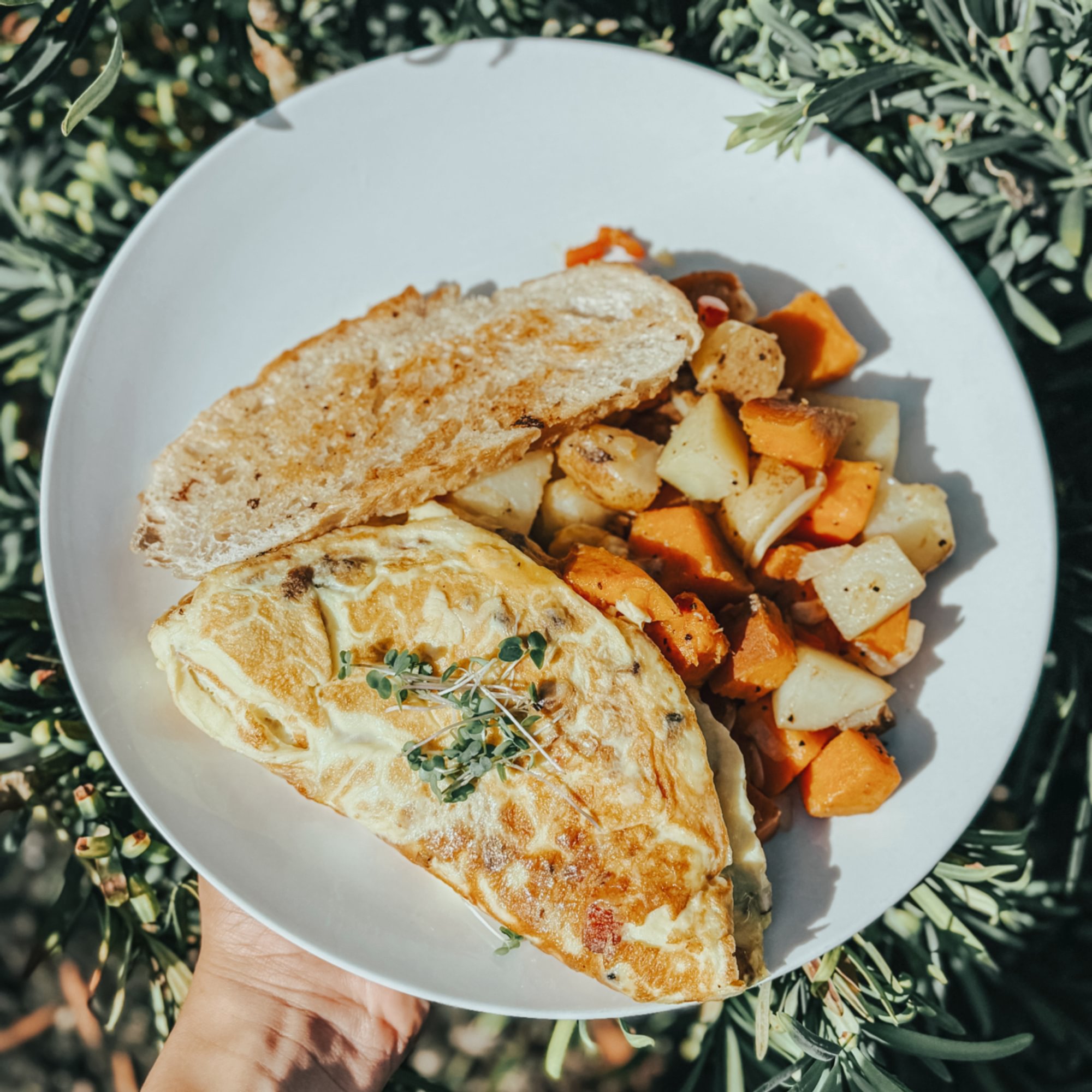 Three Egg Omelet