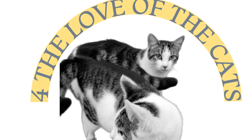 4 The Love of Cats