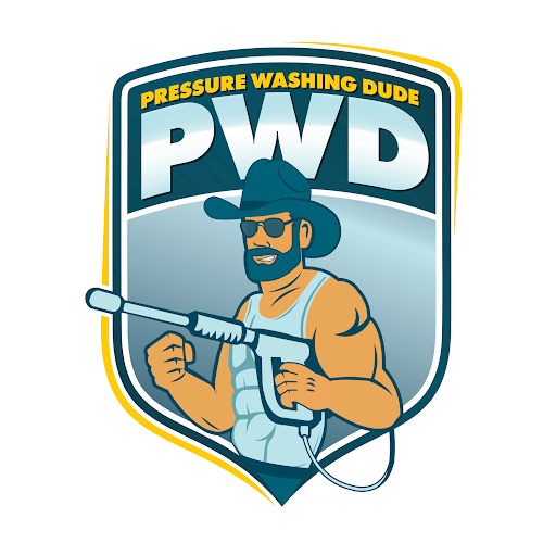 The Pressure Washing Dude