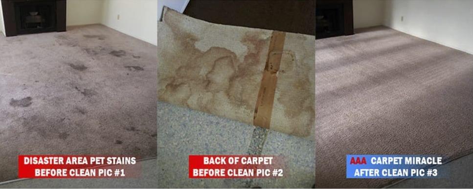AAA Carpet Cleaning Photo