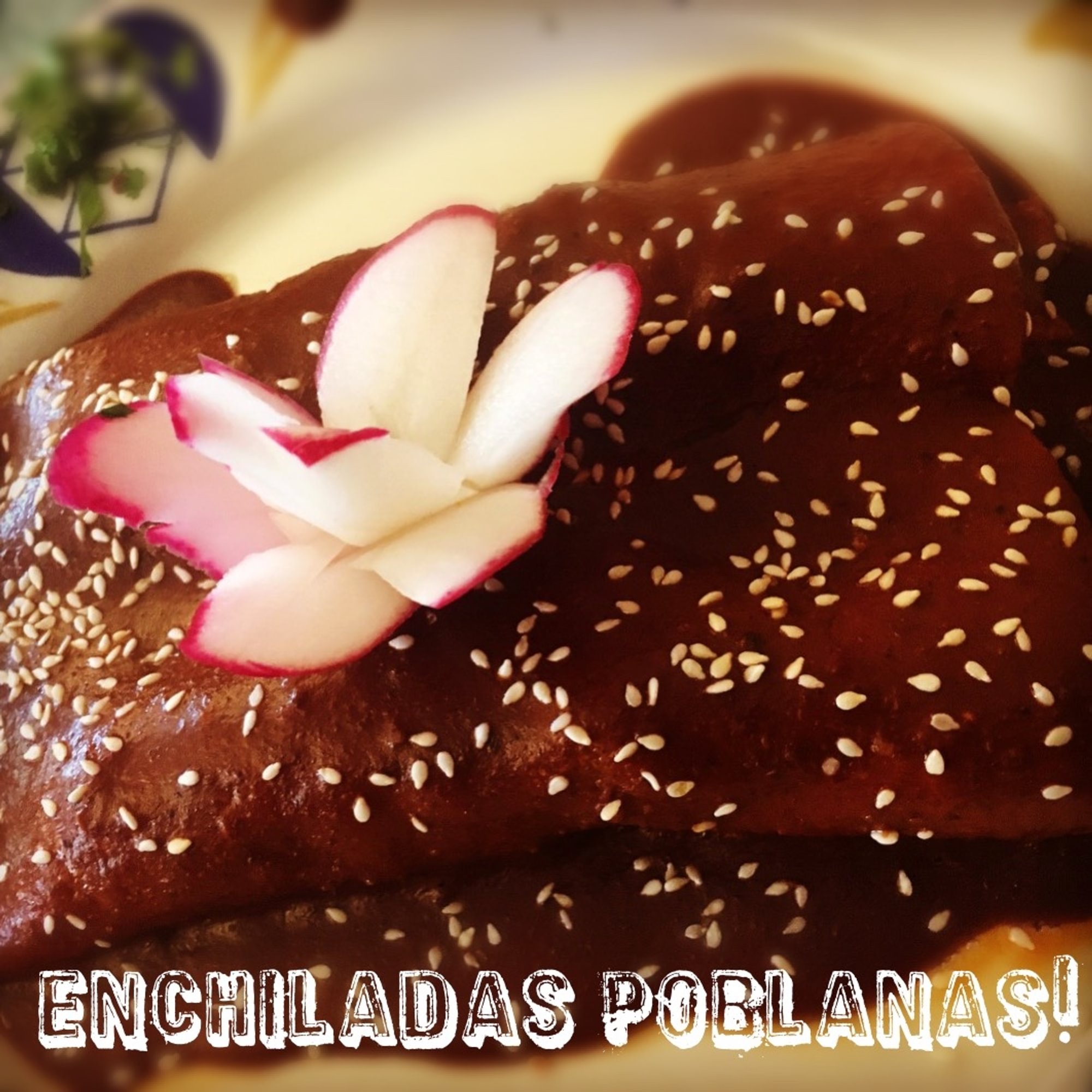 Enchiladas Poblanas