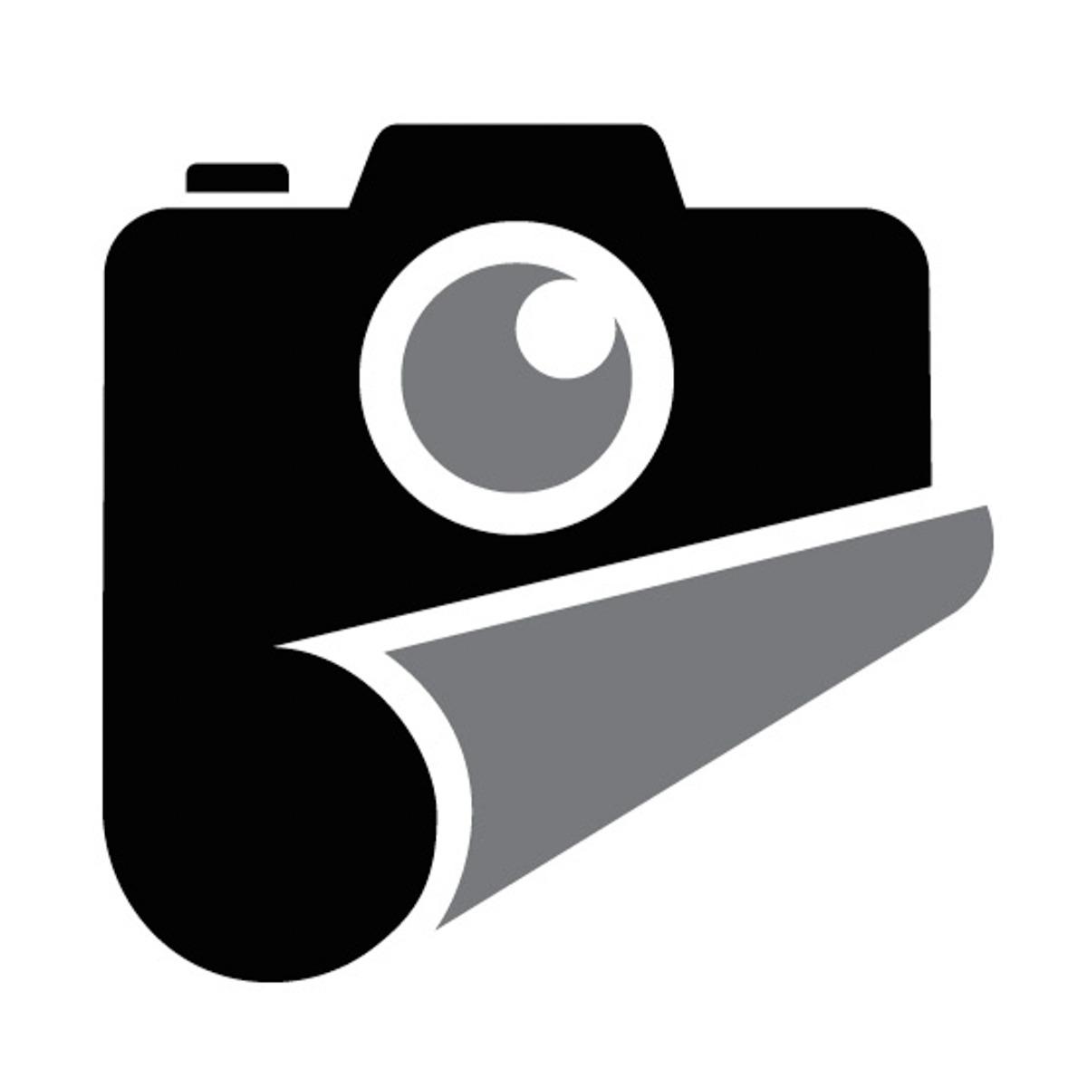 Dennis Goodman Fine Art Photography Logo