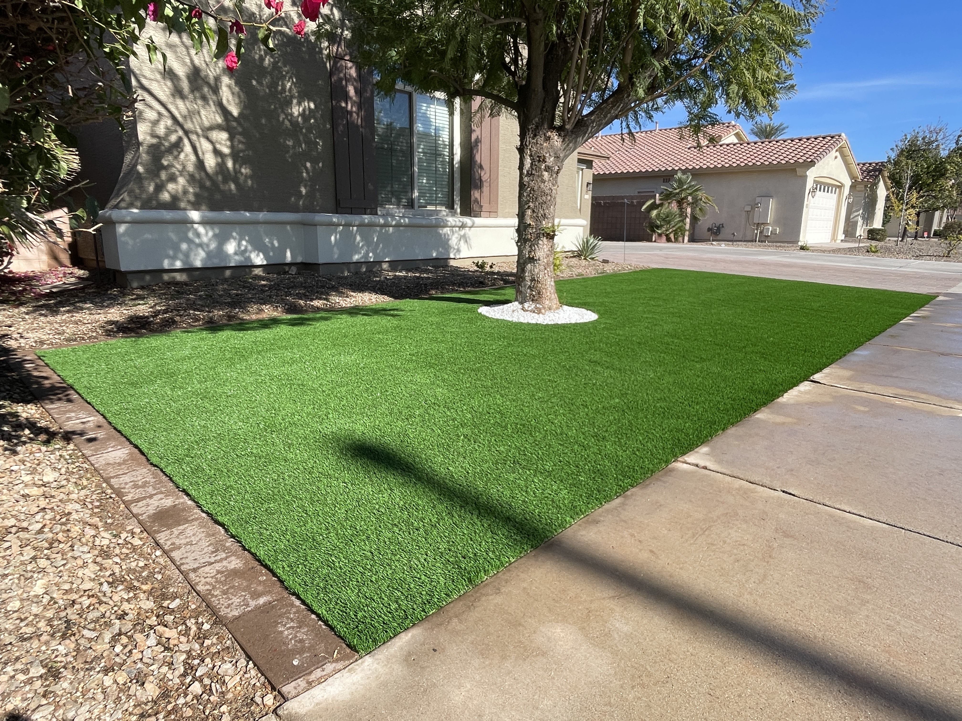 Waterloo Turf Scottsdale Image