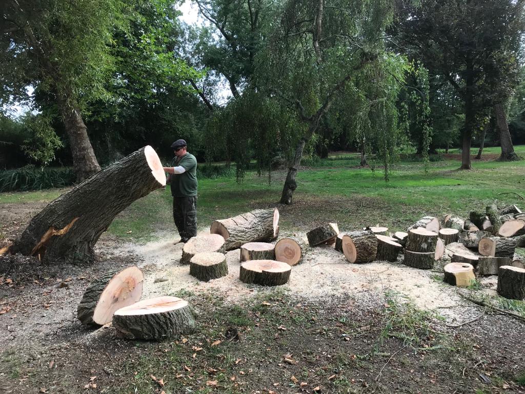 Images Tree & Garden Services
