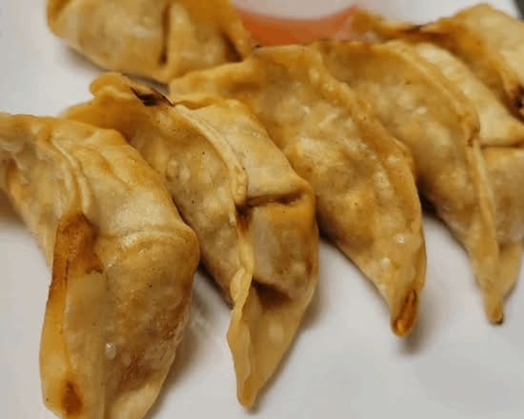 Fried Veggie Gyoza