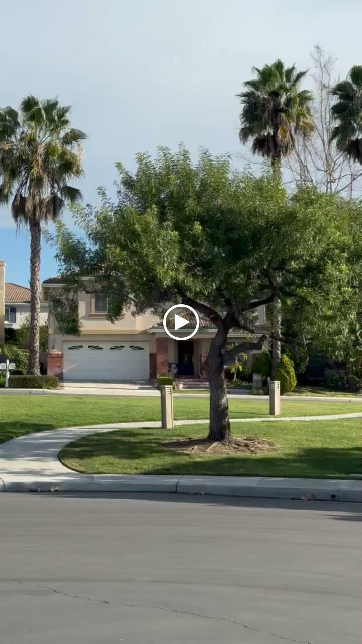 Custom Painting & Decorating Inc. Image