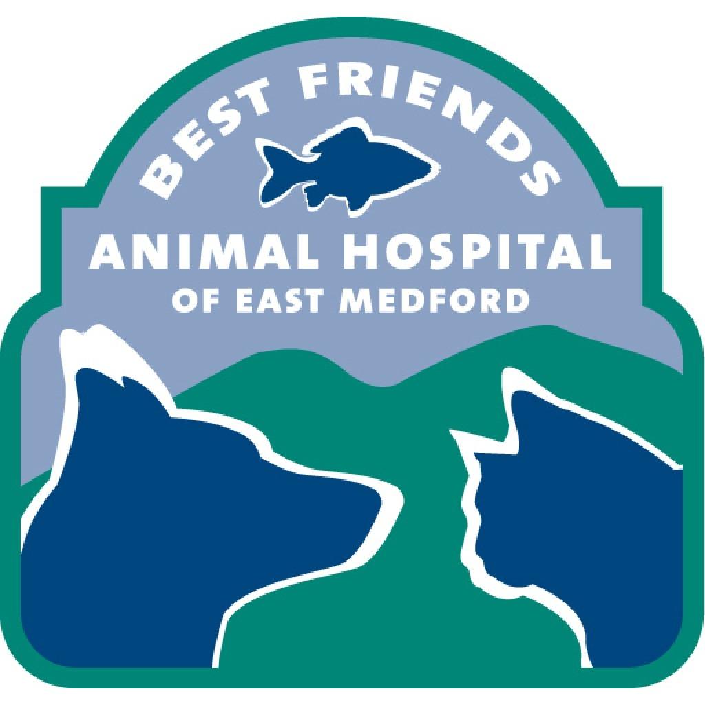 Best Friends Animal Hospital Of East Medford