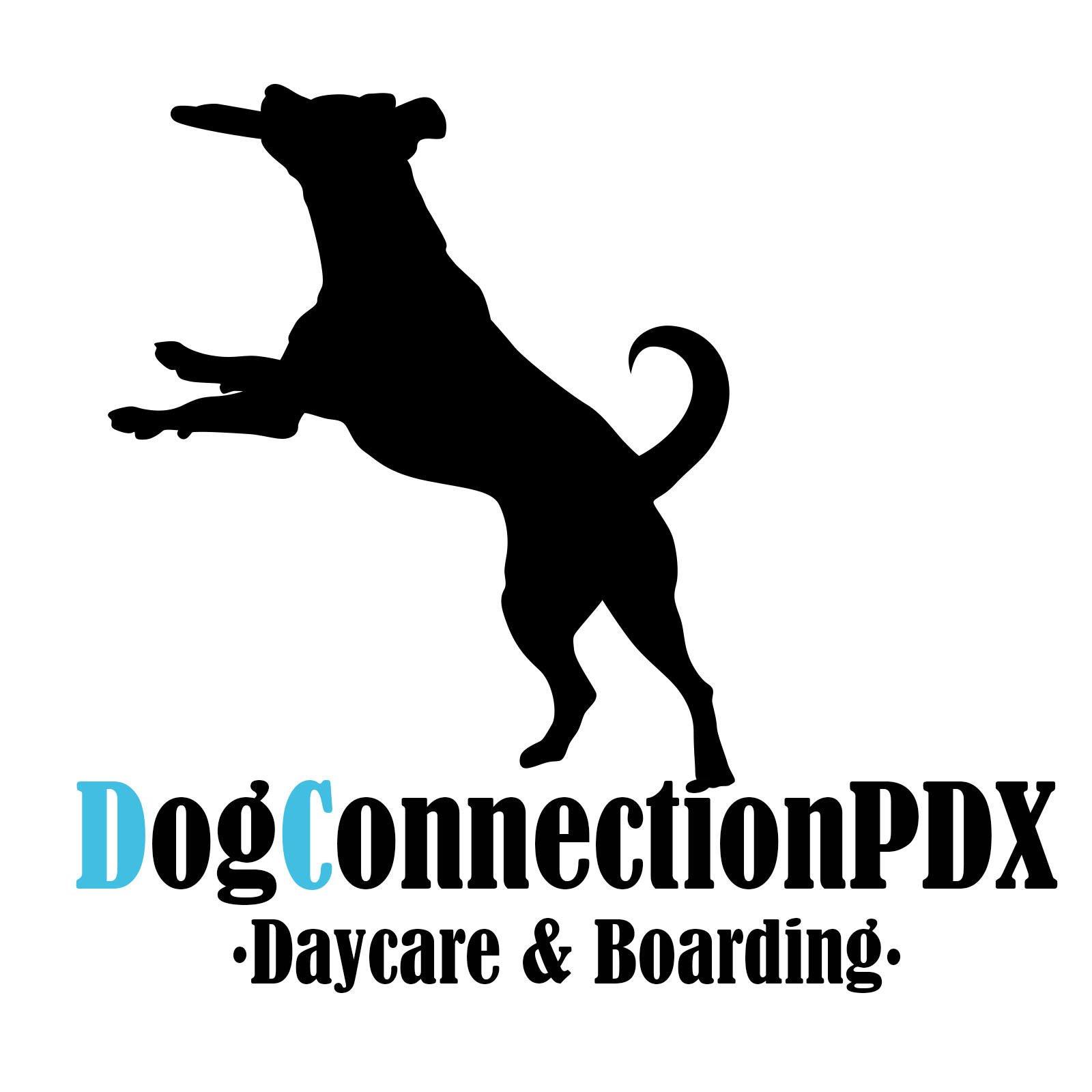 DogConnectionPDX Daycare & Boarding Photo