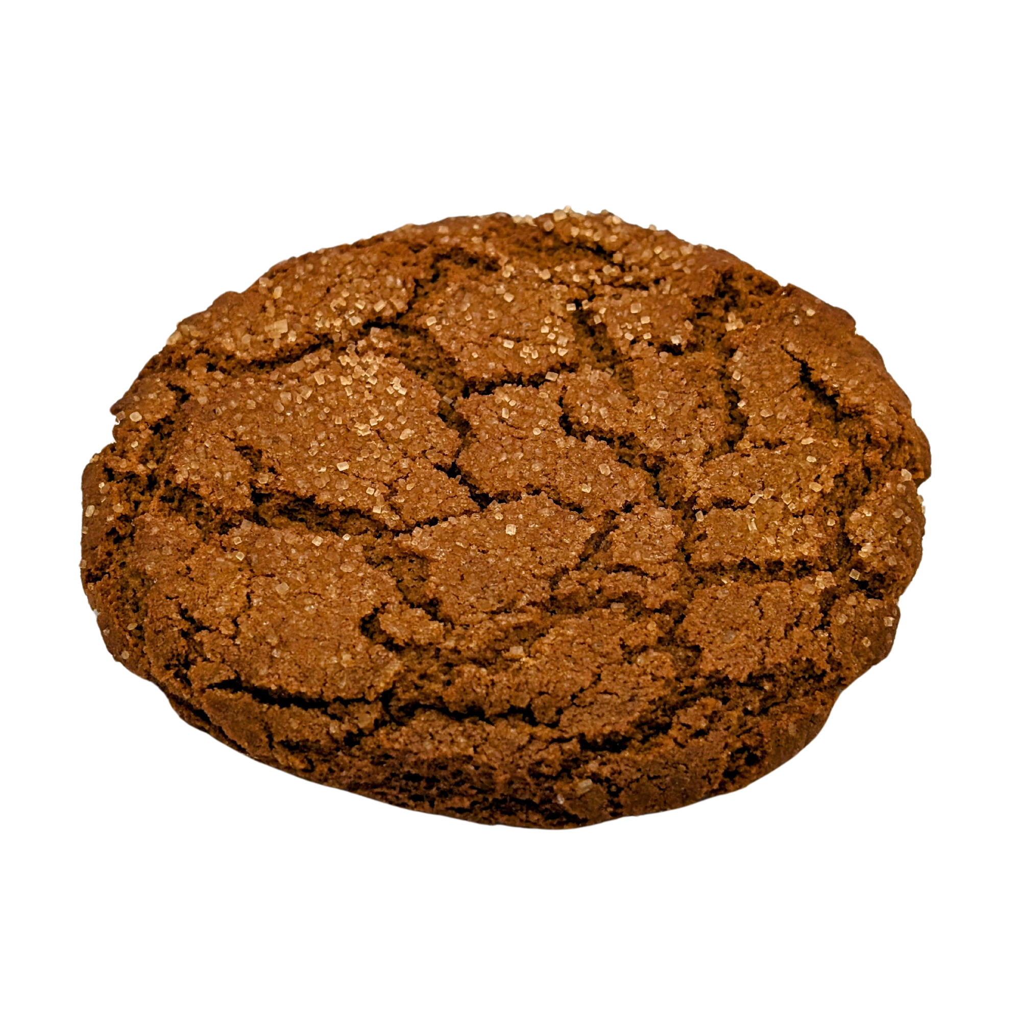 Ginger Molasses Cookie