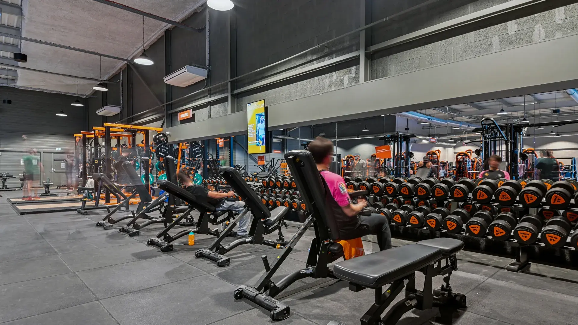 Miniature de la galerie