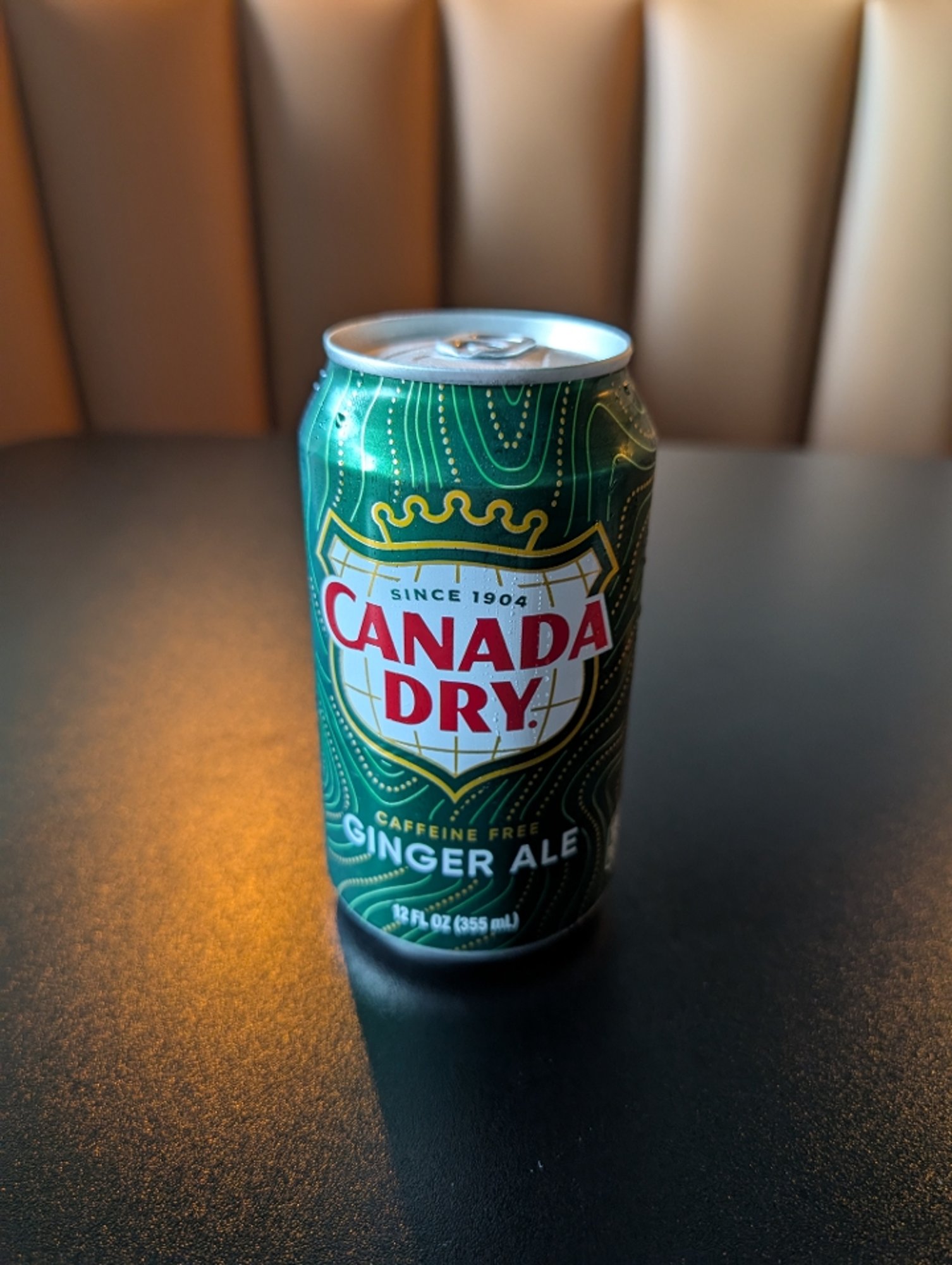 Ginger Ale (Canned)