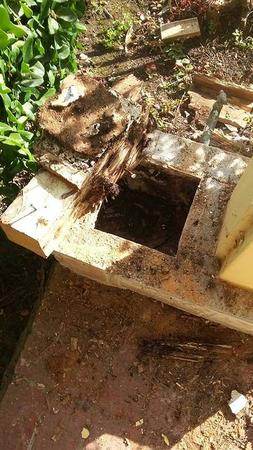 Residential Termite Control, Los Angeles Residential Termite Control, Los Angeles