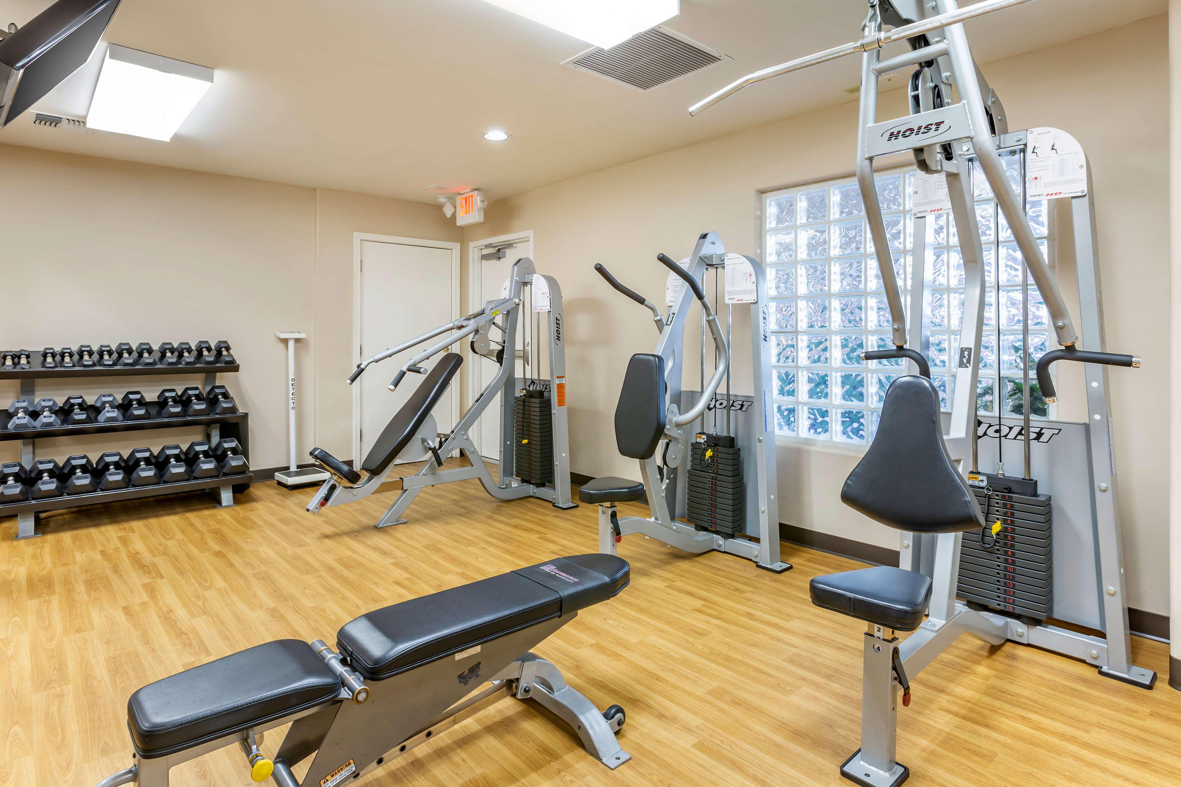 Health club  fitness center  gym