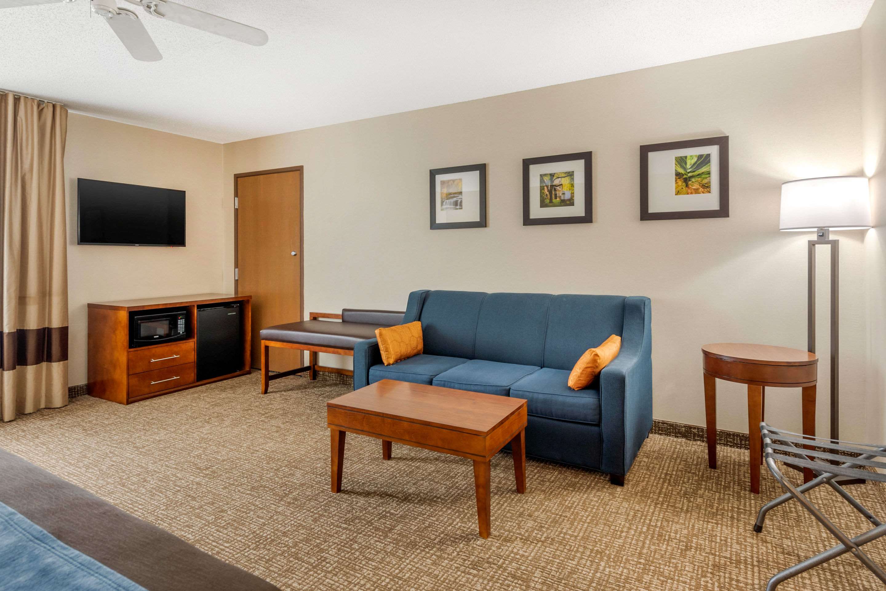 Comfort Inn Anderson South Photo