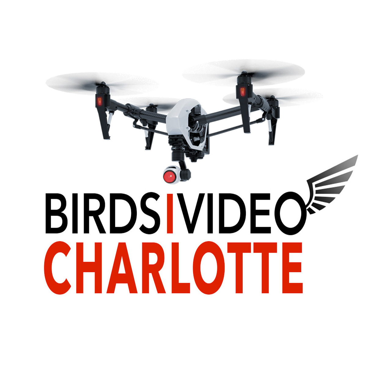 BIRDSiVIDEO Charlotte (Dickson Drone Imagery LLC) Logo